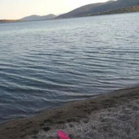 Elaia 50m From The Sea *