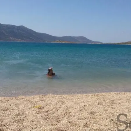 بيت ضيافة Elaia 50m From The Sea